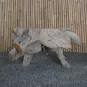 morepic-8